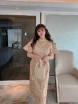 Chinese Dress Plus Size Embroidered Qipao Dress1.jpg