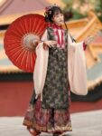 Chinese Hanfu Dress Ming Dynasty Cosplay Costume 13.jpg