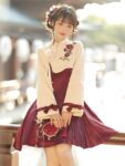 Chinese Style Clothing Womens Top and Dress Set 2.jpg