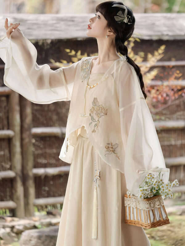Chinese Style Dress Song Inspired Hanfu Outfit 1.jpg