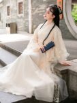 Fairy Dresses For Women Chinese Song Dynasty Hanfu 14.jpg