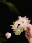 Fairy Pink Flower Hair Clip Tang Style Side Clip 1.jpg