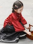 Hanfumodern Chinese Apparel Online Ancient Style Tang Suit Dress 5.jpg