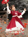 Hanfumodern traditional red chinese dress 3.jpg