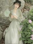 Modern Hanfu Clothing Chinese Style Dress Women 2.jpg
