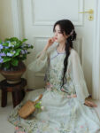 Modern Hanfu Outfit Embroidered Tea Dress4.jpg