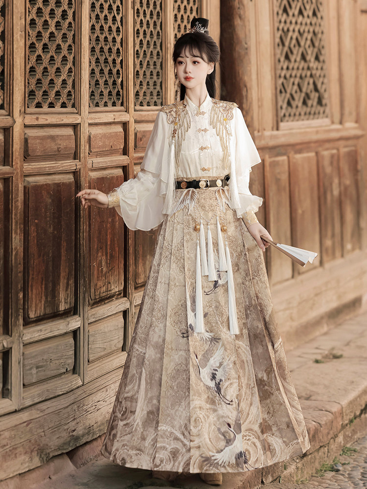 Modern Hanfu Outfit Ming Inspired Blouse And Skirt 7.jpg Modern Hanfu Outfit Ming Inspired Blouse And Skirt 7.jpg