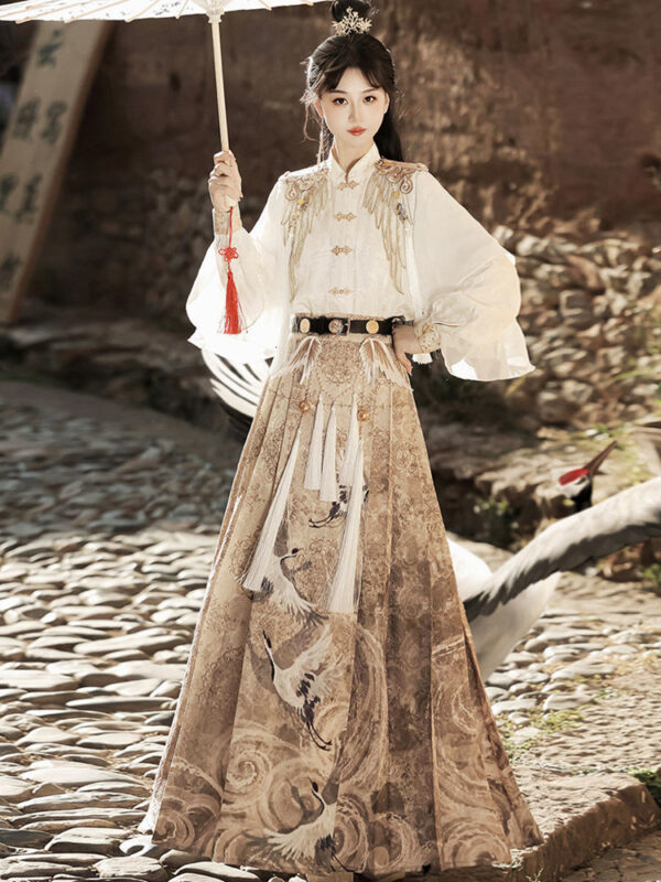 Modern Hanfu Outfit Ming Inspired Blouse And Skirt 8.jpg