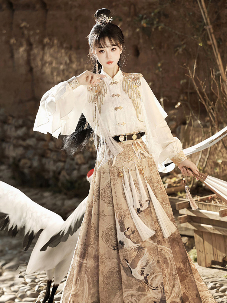Modern Hanfu Outfit Ming Inspired Blouse And Skirt 9.jpg Modern Hanfu Outfit Ming Inspired Blouse And Skirt 9.jpg