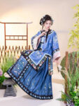 Qing Dynasty Hanfu Dress Womens Embroidery Dress1.jpg