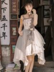 Womens Beauty Dress Chinese Style Daily Dress 3.jpg