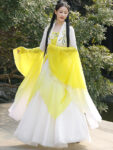 chinese dance costumes 1.jpg