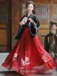 chinese hanfu dress 1 1.jpg