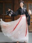 chinese hanfu dress 1 1.jpg