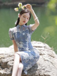 chinese mini dress b 7.jpg