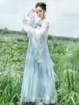 hanfu dress 2.jpg