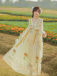 hanfu fashion A.jpg