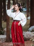 hanfu style dress 1.jpg