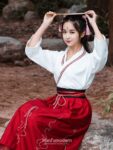 hanfu style dress 1.jpg