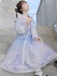 hanfu styles 1.jpg