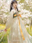 tang dynasty dress 1.jpg